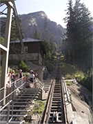 Walter 08.07.08-02.01.200948